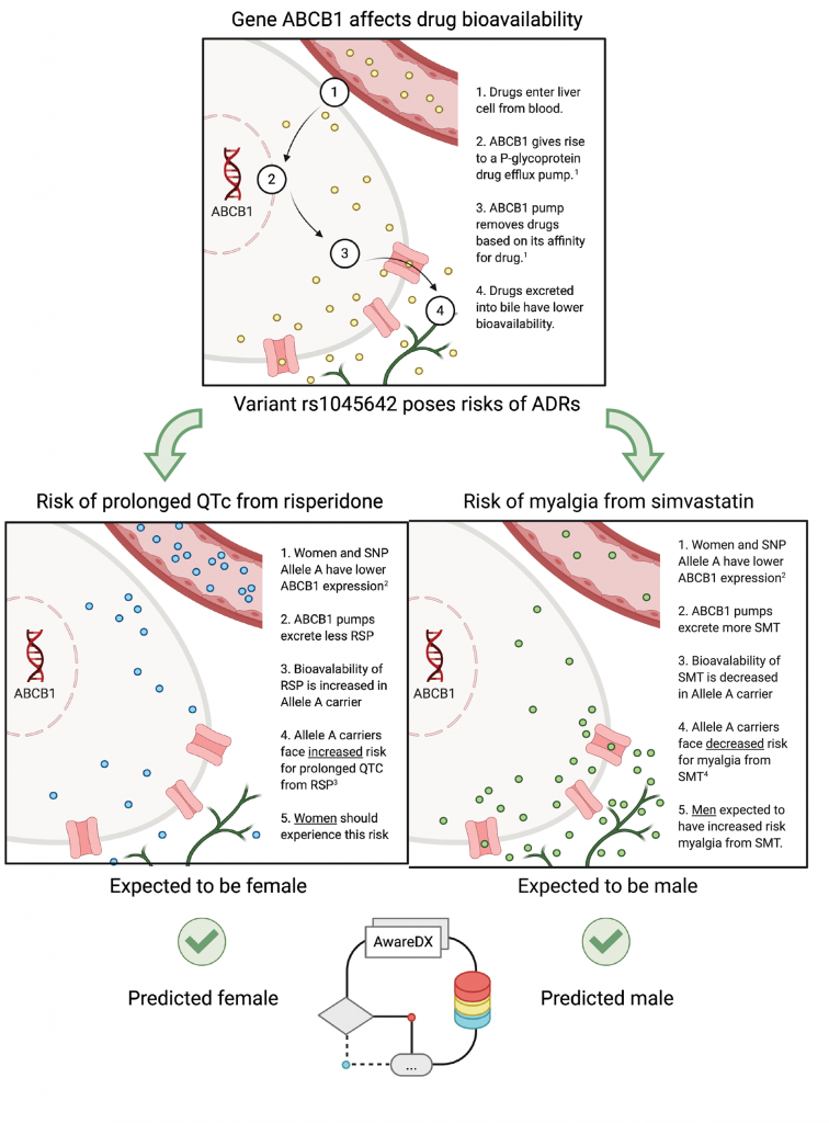 Sex Specific Adverse Drug Effects Identified Through Algorithm By Columbia Researchers